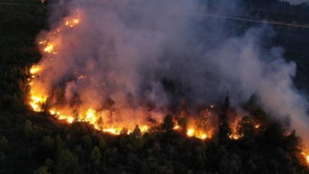 Chubut y Río Negro mantienen focos activos de incendio forestales