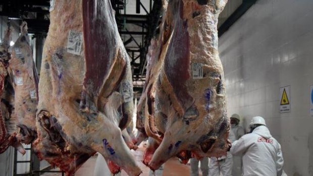 Las exportaciones de carne crecieron casi 25% en septiembre