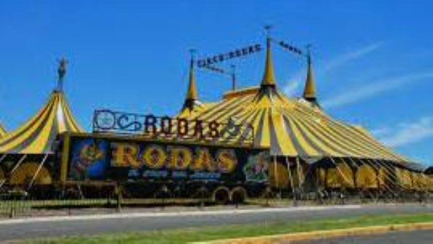 Regresa el circo Rodas para celebrar sus 40 años