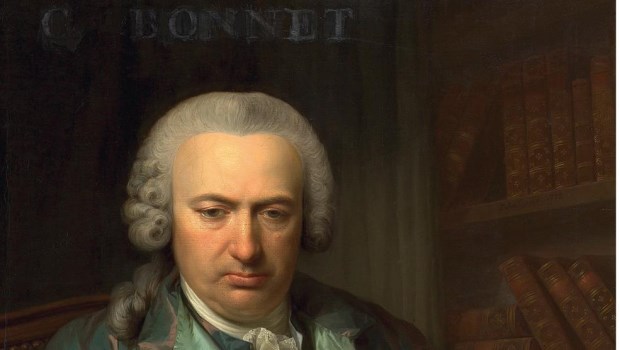 Charles Bonnet y el secreto de sus ojos