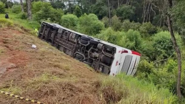 El consulado argentino identificó a las cinco víctimas fatales del accidente de ómnibus en Brasil