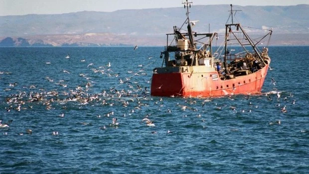 La Industria pesquera busca incorporar a beneficiarios de planes sociales al empleo formal