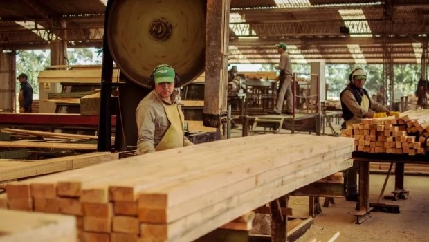 La industria de la madera se derrumbó 40% en el primer bimestre