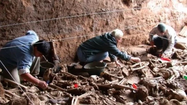 El Equipo Argentino de Antropología Forense lanzó una nueva campaña de identificación de más de 600 cuerpos