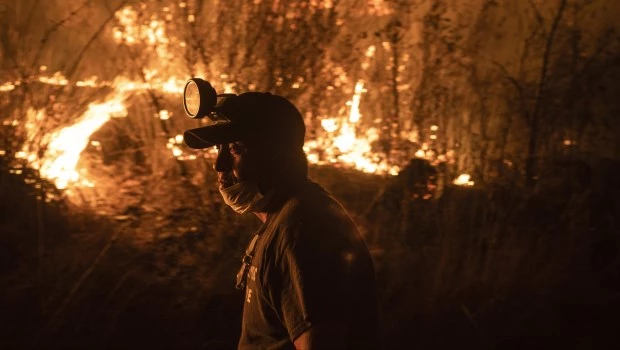 Sequía: se registraron incendios forestales en al menos 15 estados de México