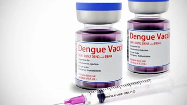 La OMS advirtió que es probable que el número de casos y muertes por dengue sigan aumentando