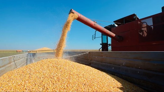 China volverá a comprar en julio maíz argentino y sus derivados