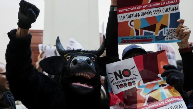Prohíben las corridas de toros en Colombia