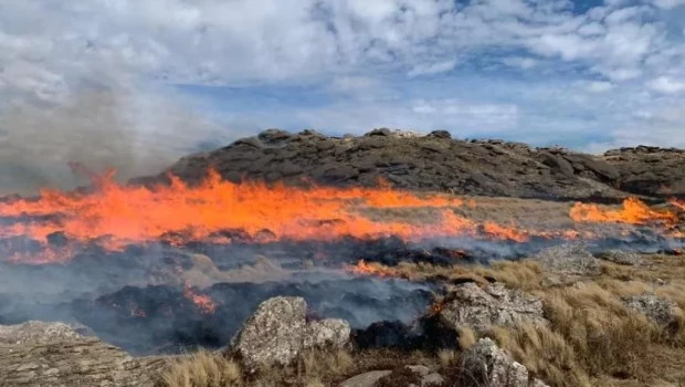 El fuego afectó más de 6.000 hectáreas en Córdoba