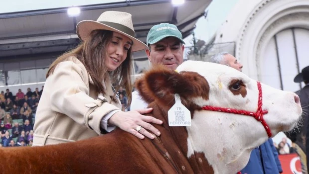 Villarruel le bajó el tono a la tensión con Milei y dijo que su relación con el Presidente "está bien"