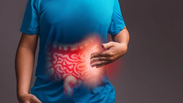 Cuatro pilares de la salud intestinal