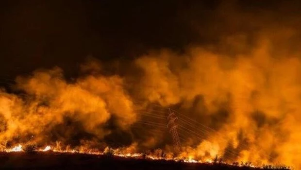 Los incendios forestales en la región occidental de Paraguay arrasaron más de 84.000 hectáreas