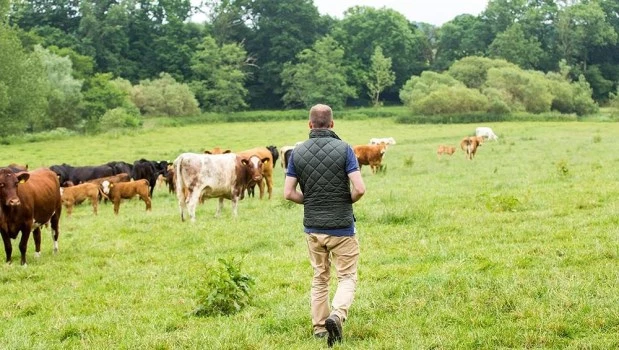 Valores: el arraigo y la familia rural