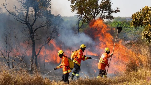 Los incendios en Brasil aumentaron un 76% este año