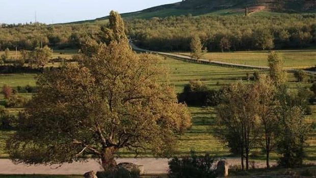 La novela de Enrique Andrés Ruiz transcurre en tierras próximas a Soria, “la capital más pequeña de España”.