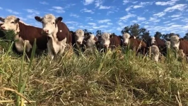 Argentina, país ganadero