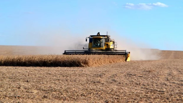 El sector agropecuario continuará siendo una de los principales motores del crecimiento de la economía argentina.