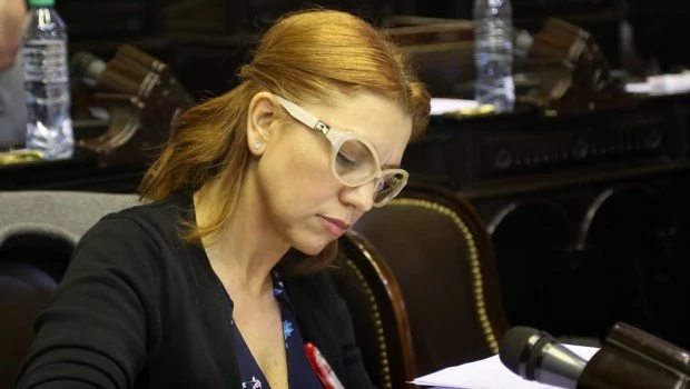 La diputada Banfi criticó que el Gobierno busca privatizar las campañas electorales