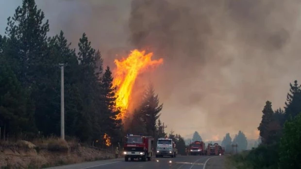 Incendios en El Bolsón: "La situación es desgarradora"