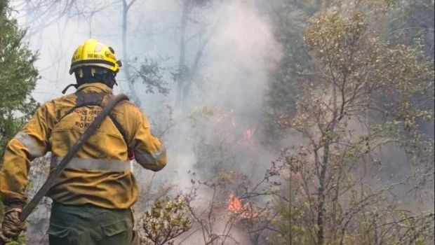 Incendios en el sur: ya hay más de 18.000 hectáreas consumidas por el fuego