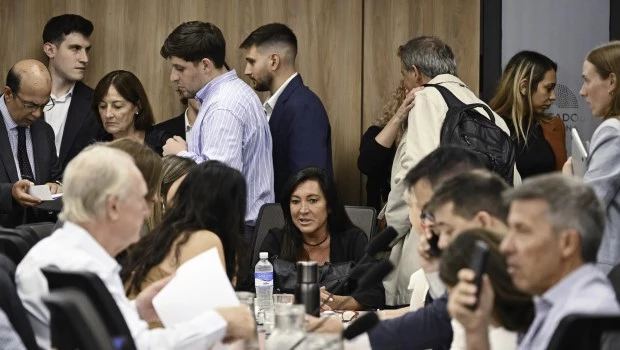 El proyecto de Ficha Limpia con el camino allanado para ser votado en Diputados