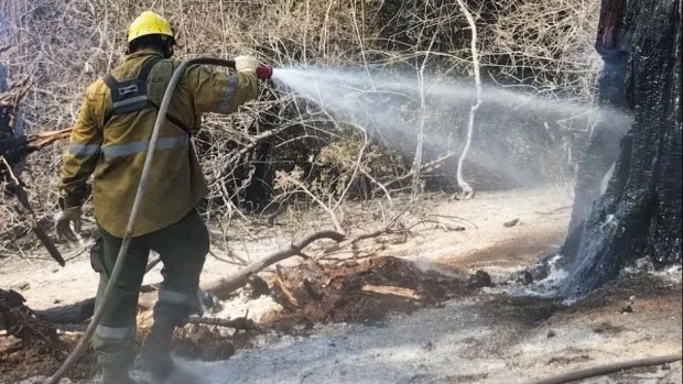 Se refuerzan los operativos para combatir incendios en Epuyén, Atilio Viglione y El Pedregoso 