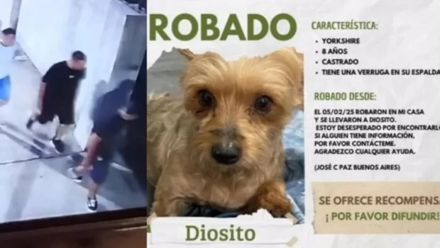 Le roban a una mujer y se llevan su perro en José C. Paz