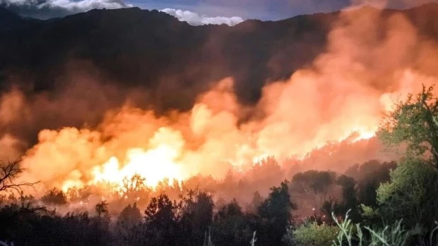 Con el fuego descontrolado, evacuaron zonas pobladas en El Bolsón