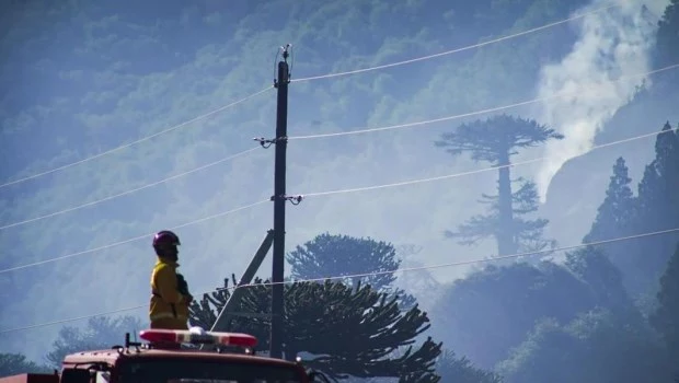 Incendio en el Parque Nacional Lanín: 15.200 hectáreas afectadas