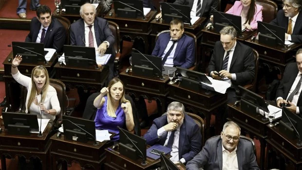 El Senado suspendió las PASO para las elecciones de este año