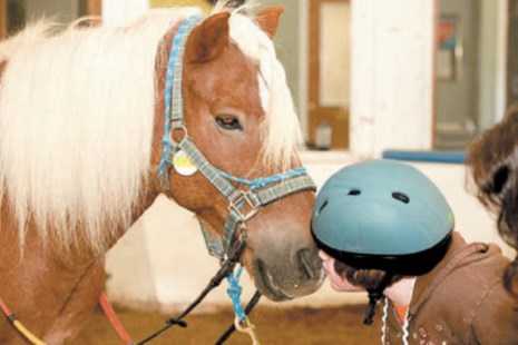 Caballos que sanan cuerpo y mente