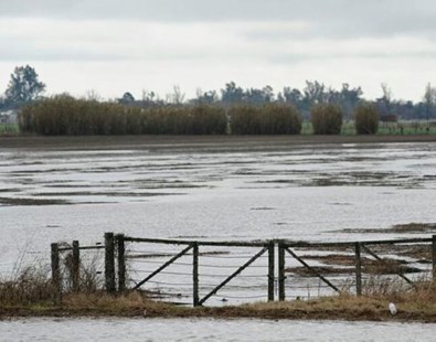 Más de 2,8 millones de hectáreas bajo el agua en Santa Fe