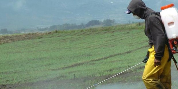 La Red de Buenas Prácticas Agrícolas (BPA) lanzó una nueva publicación en un acto realizado en la Bolsa de Cereales porteña.